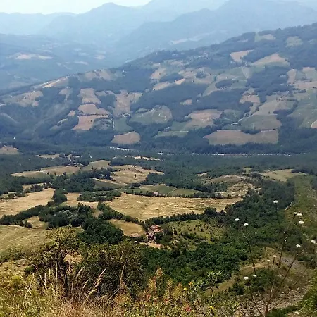 Monolocale Nel Verde